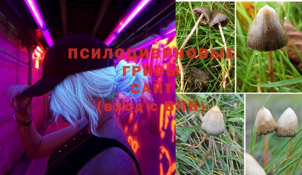 хмурый Гусиноозёрск