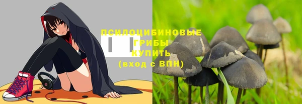 хмурый Гусиноозёрск