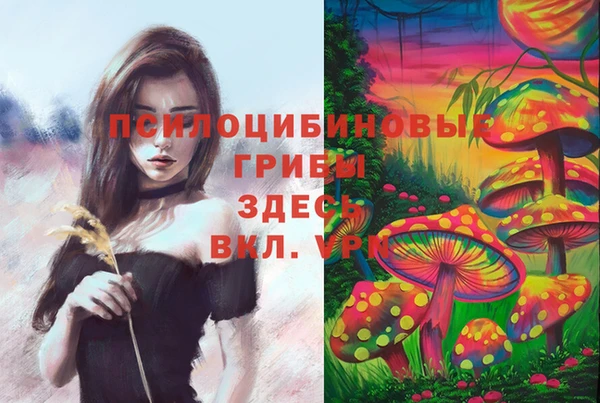 эйфоретик Гусев